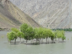 Panj River - Tajikistan